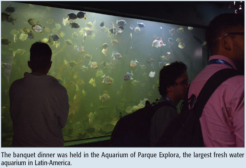 The banquet dinner was held in the Aquarium of Parque Explora, the largest fresh water aquarium in Latin-America.