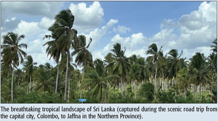 The breathtaking tropical landscape of Sri Lanka (captured during the scenic road trip from the capital city, Colombo, to Jaffna in the Northern Province).